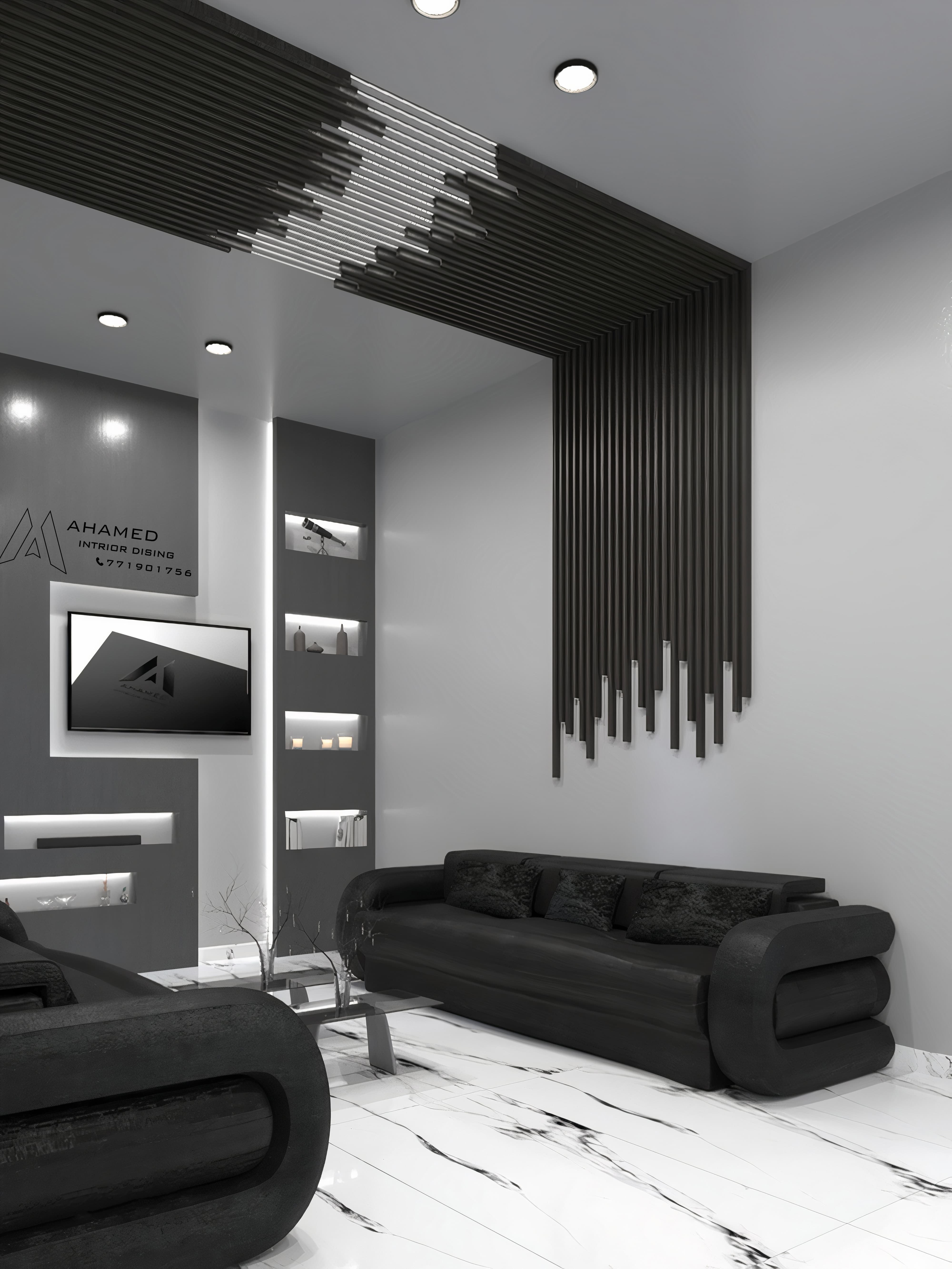 Entrance and Living Room Design